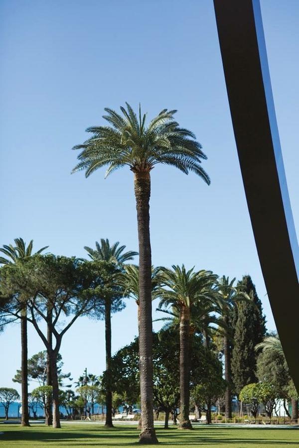 Le Prefecture - Luxueux F3 En Duplex, Ascenseur, Coeur Vieux-Niceアパートメント エクステリア 写真